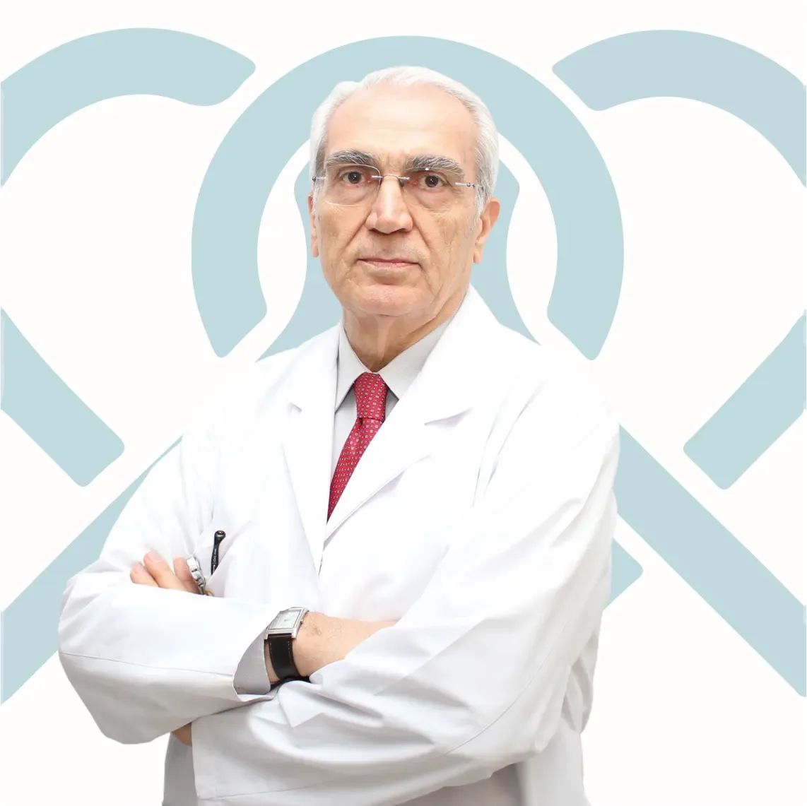 Prof. Dr. Hulusi KOÇAK