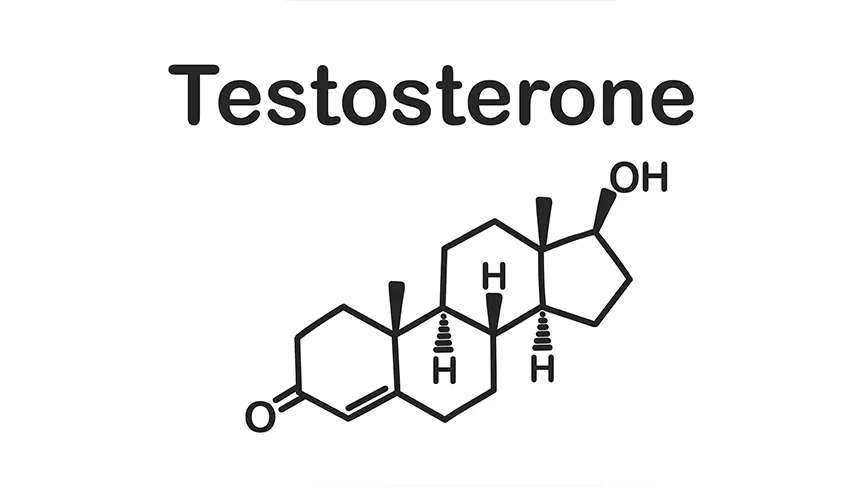 What is Testosterone: Deficiency, Treatment