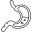 Gastroenteroloji