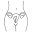 Menopoz